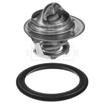 Thermostat d'eau BORG & BECK BBT056