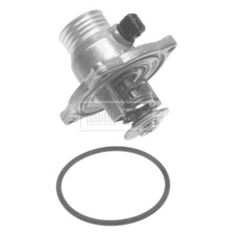 Thermostat d'eau BORG & BECK BBT245