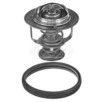 Thermostat d'eau BORG & BECK BBT257