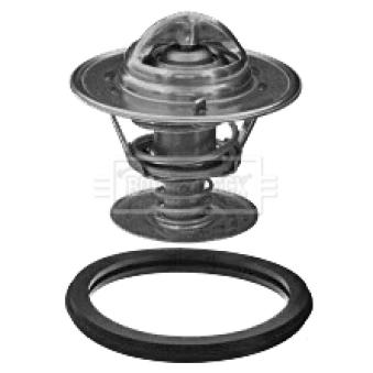 Thermostat d'eau BORG & BECK BBT350