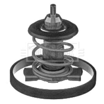 Thermostat d'eau BORG & BECK OEM 55241404