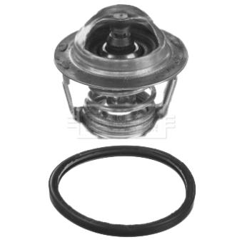 Thermostat d'eau BORG & BECK BBT439