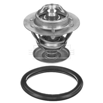 Thermostat d'eau BORG & BECK BBT442