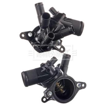 Thermostat d'eau BORG & BECK BBT520