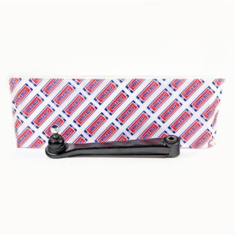 Triangle ou bras de suspension (train arrière) BORG & BECK OEM 5525034000