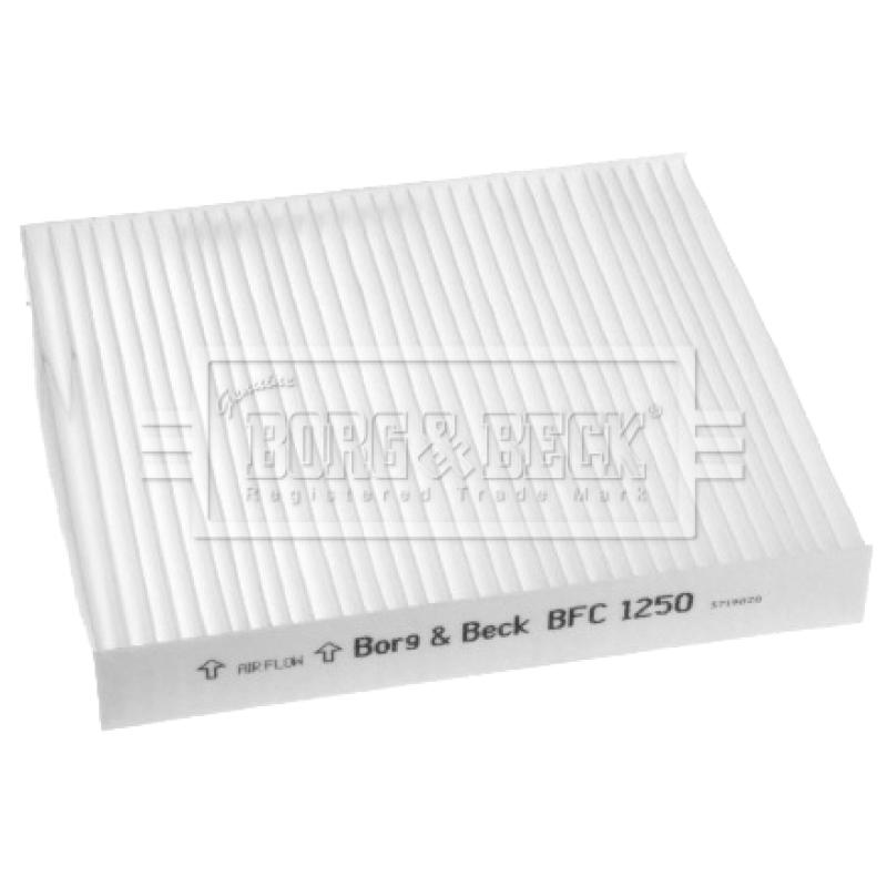 Filtre, air de l'habitacle BORG & BECK BFC1250 - Visuel 1