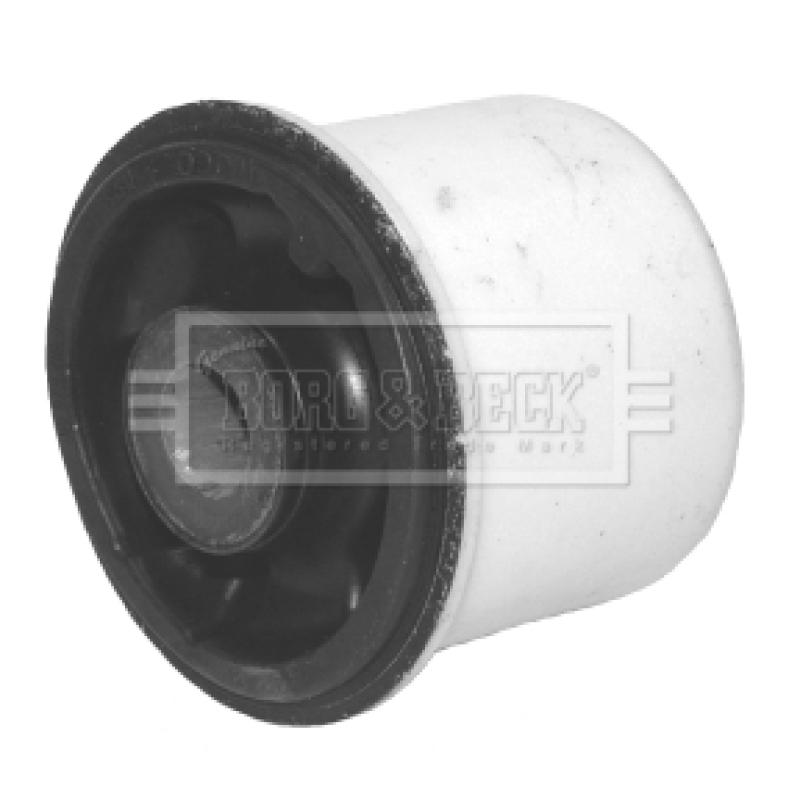 Suspension, corps de l'essieu BORG & BECK BSK6621 - Visuel 1