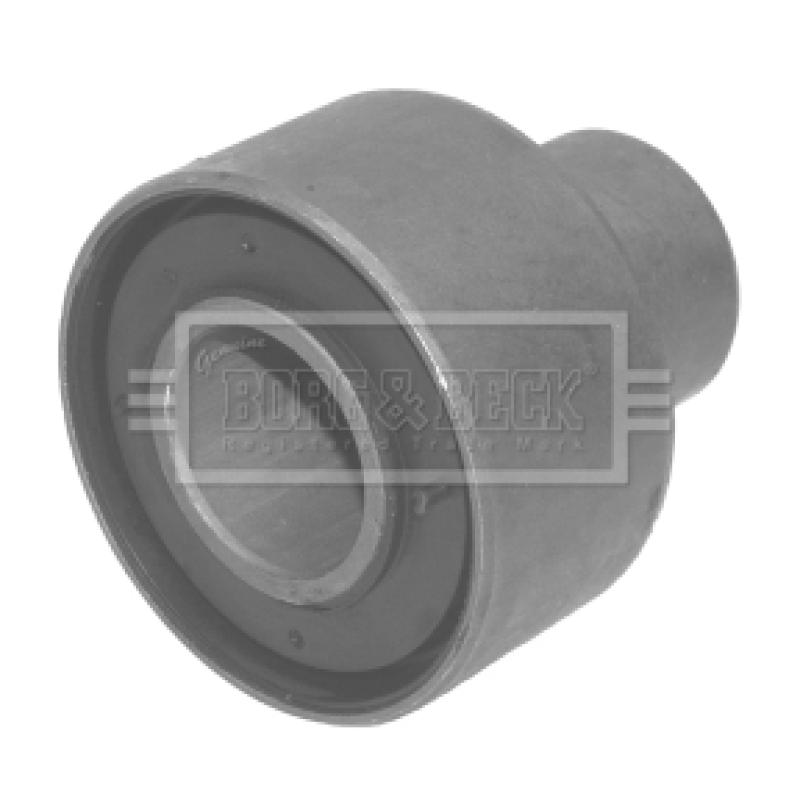 Suspension, corps de l'essieu BORG & BECK BSK6624 - Visuel 1