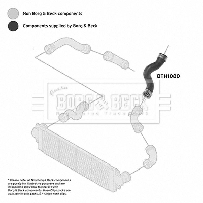 Gaine de suralimentation BORG & BECK BTH1080 - Visuel 2
