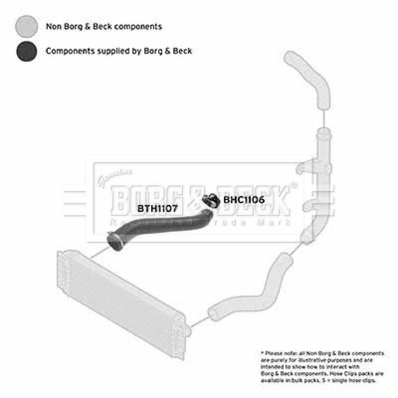Gaine de suralimentation BORG & BECK BTH1107 - Visuel 2