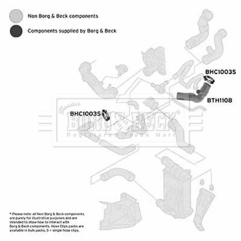 Gaine de suralimentation BORG & BECK BTH1108 - Visuel 2