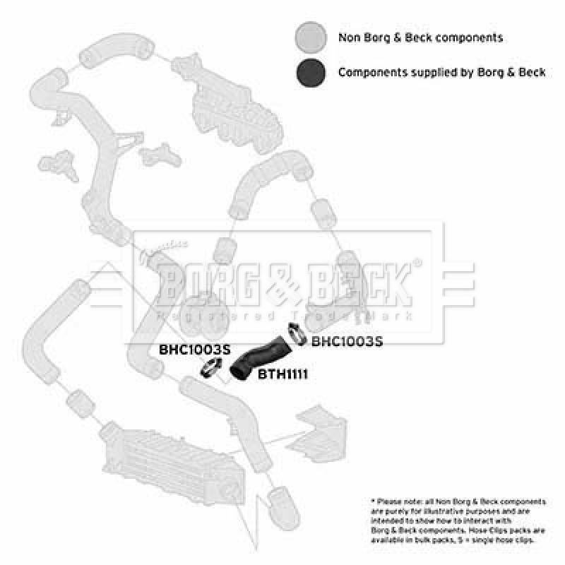Gaine de suralimentation BORG & BECK BTH1111 - Visuel 2