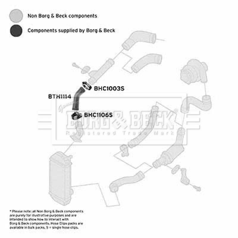Gaine de suralimentation BORG & BECK BTH1114 - Visuel 2