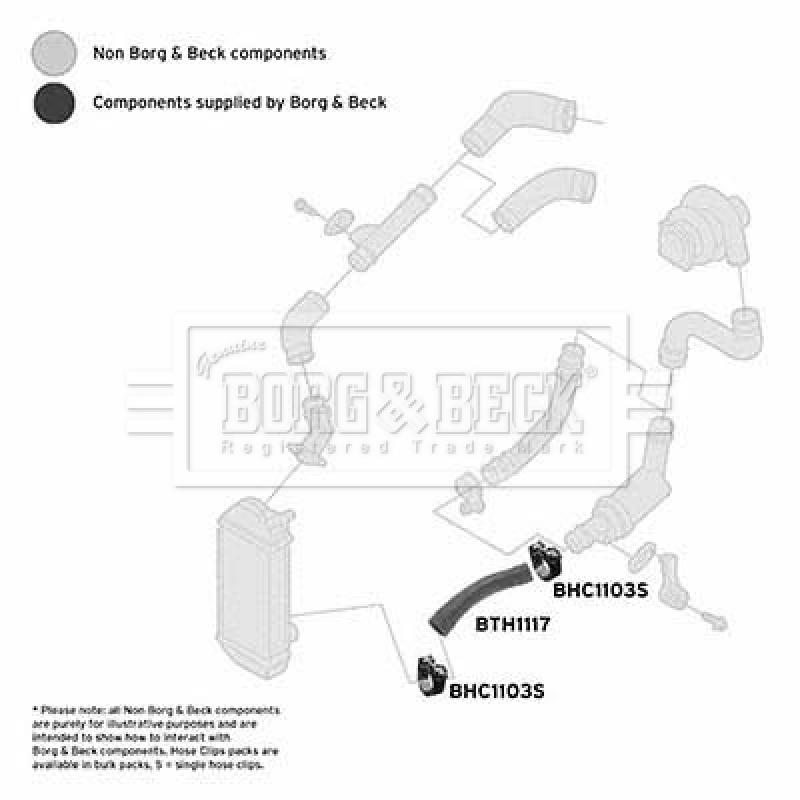 Gaine de suralimentation BORG & BECK BTH1117 - Visuel 2