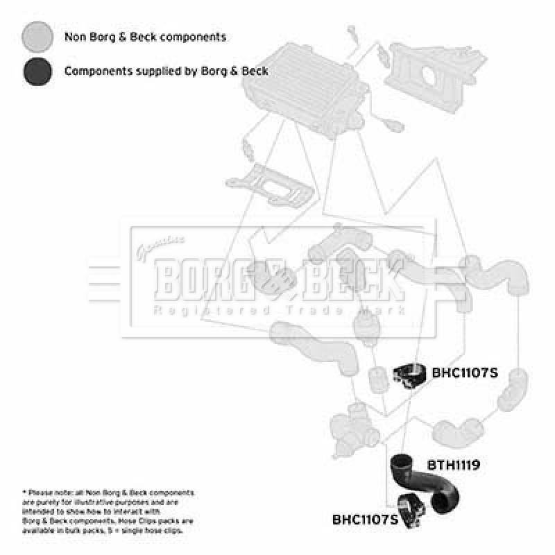 Gaine de suralimentation BORG & BECK BTH1119 - Visuel 2