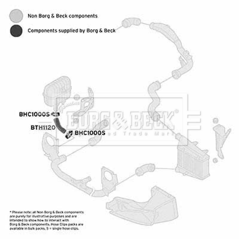 Gaine de suralimentation BORG & BECK BTH1120 - Visuel 2