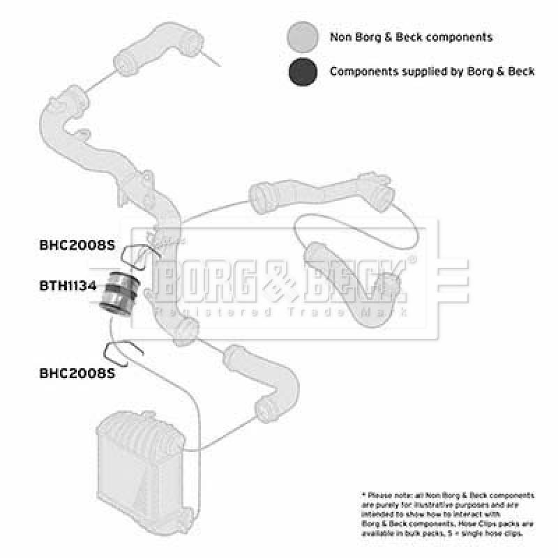 Gaine de suralimentation BORG & BECK BTH1134 - Visuel 2