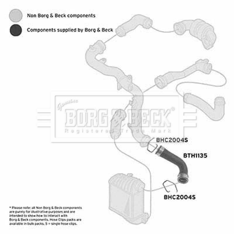 Gaine de suralimentation BORG & BECK BTH1135 - Visuel 2