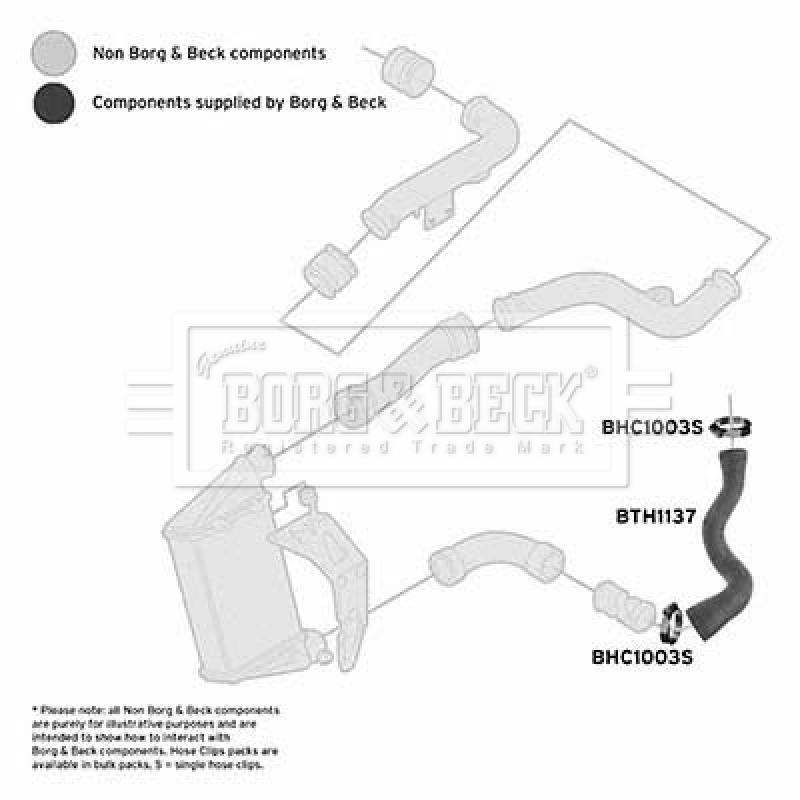 Gaine de suralimentation BORG & BECK BTH1137 - Visuel 2