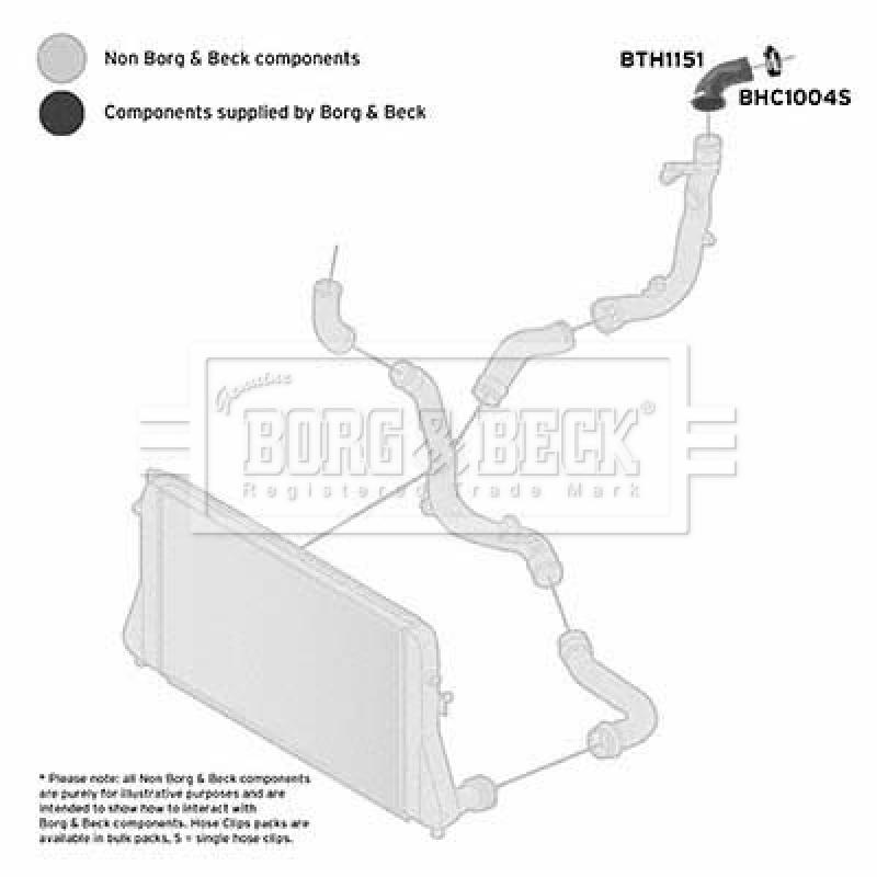 Gaine de suralimentation BORG & BECK BTH1151 - Visuel 1