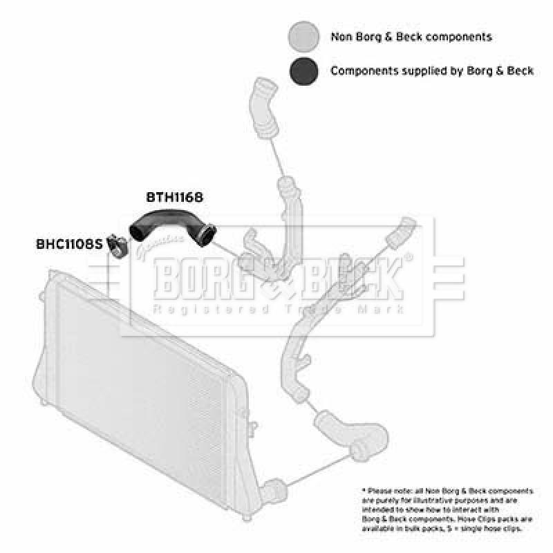 Gaine de suralimentation BORG & BECK BTH1168 - Visuel 2
