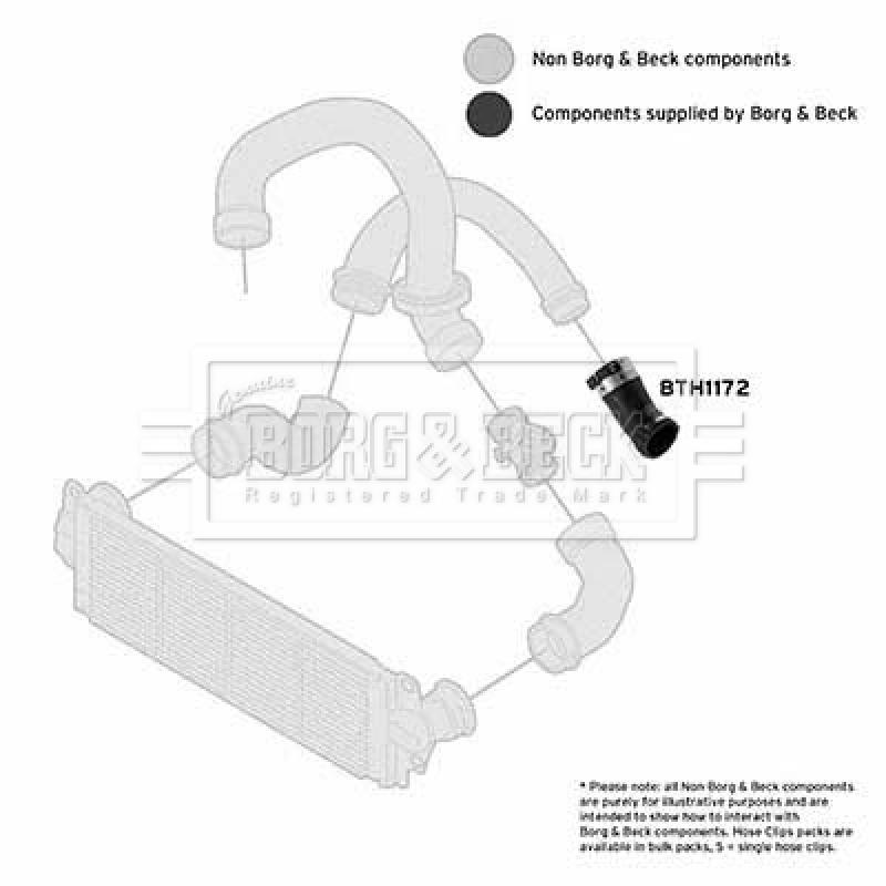 Gaine de suralimentation BORG & BECK BTH1172 - Visuel 2