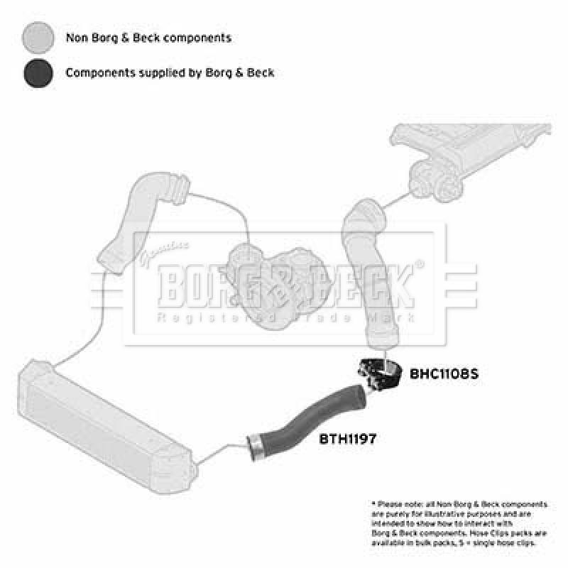 Gaine de suralimentation BORG & BECK BTH1197 - Visuel 2