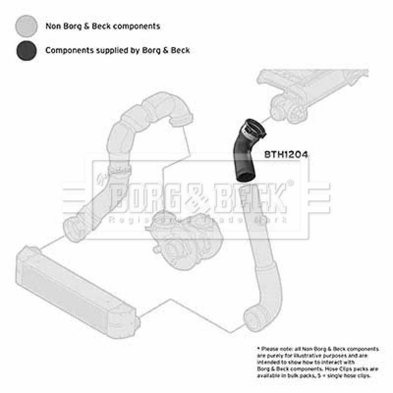 Gaine de suralimentation BORG & BECK BTH1204 - Visuel 2