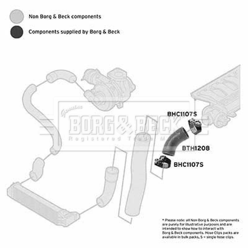 Gaine de suralimentation BORG & BECK BTH1208 - Visuel 2