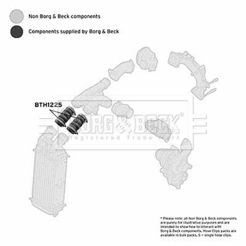 Gaine de suralimentation BORG & BECK BTH1225 - Visuel 2