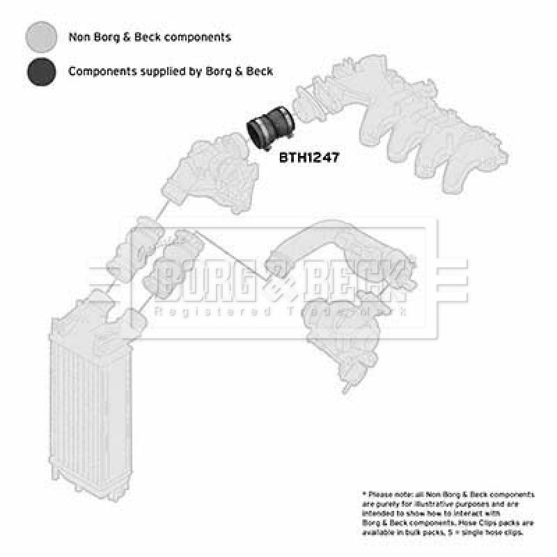 Gaine de suralimentation BORG & BECK BTH1247 - Visuel 2