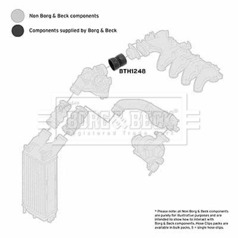 Gaine de suralimentation BORG & BECK BTH1248 - Visuel 2