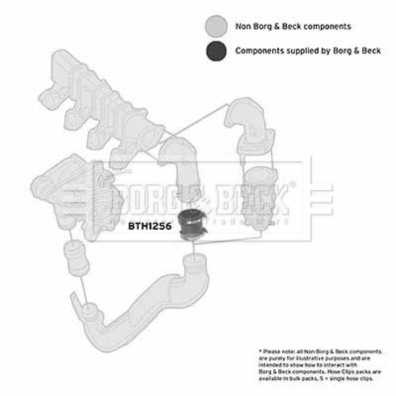 Gaine de suralimentation BORG & BECK BTH1256 - Visuel 2