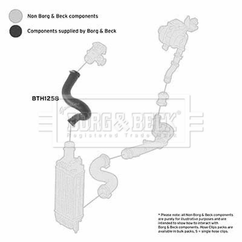 Gaine de suralimentation BORG & BECK BTH1258 - Visuel 2