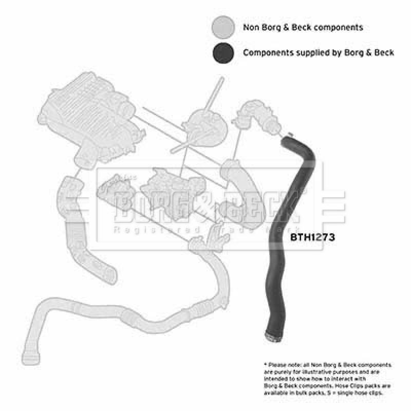 Gaine de suralimentation BORG & BECK BTH1273 - Visuel 2