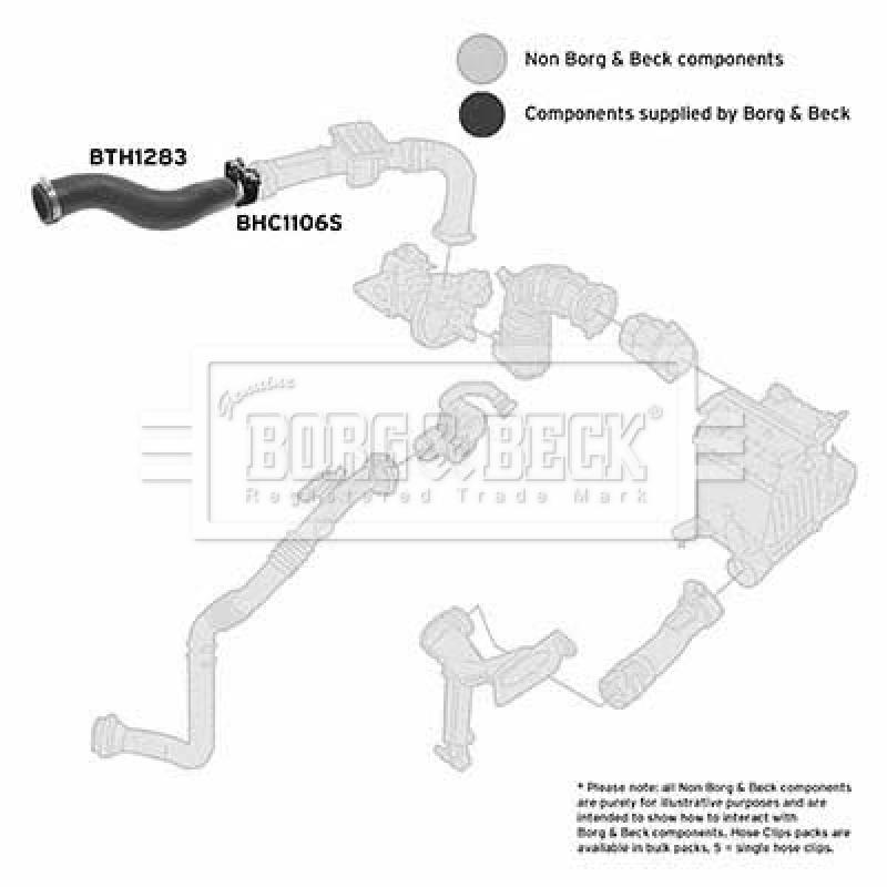 Gaine de suralimentation BORG & BECK BTH1283 - Visuel 2
