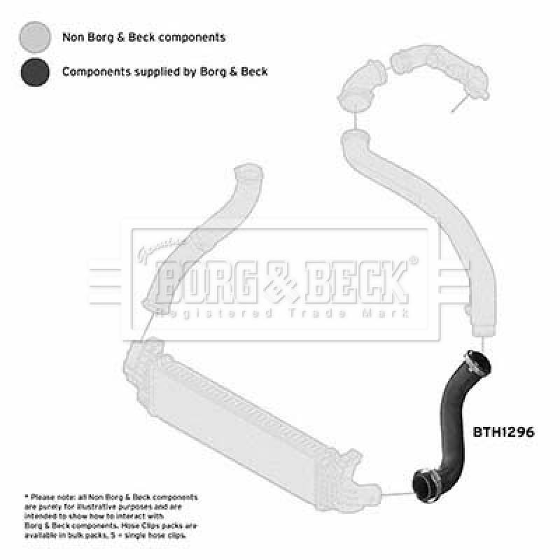 Gaine de suralimentation BORG & BECK BTH1296 - Visuel 2