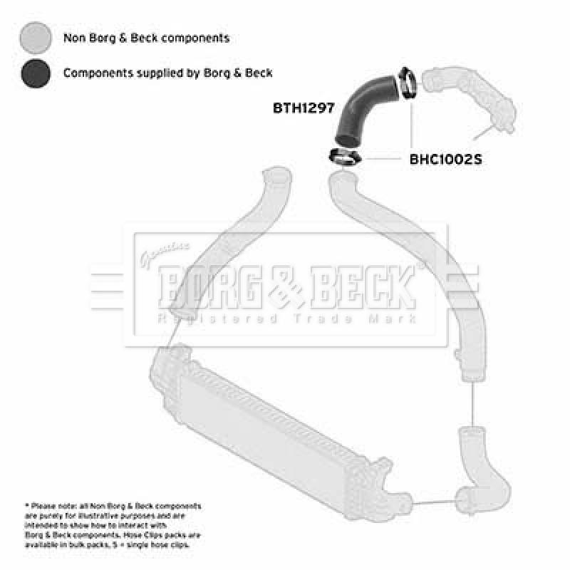 Gaine de suralimentation BORG & BECK BTH1297 - Visuel 2