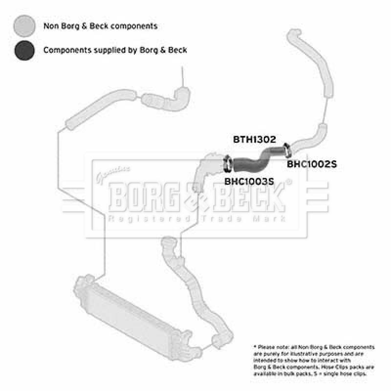 Gaine de suralimentation BORG & BECK BTH1302 - Visuel 2