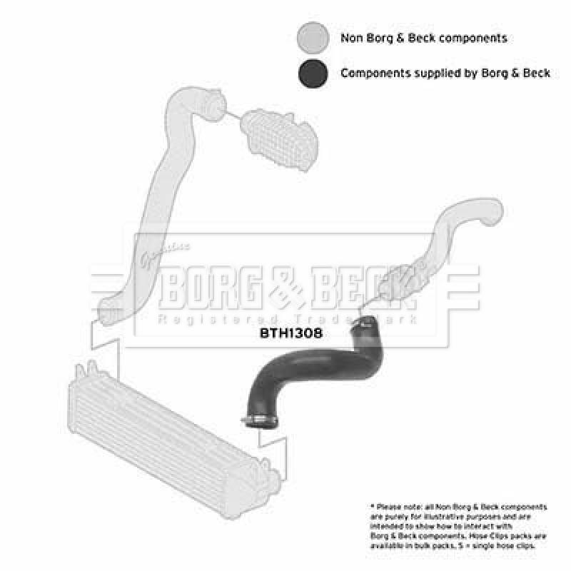 Gaine de suralimentation BORG & BECK BTH1308 - Visuel 2