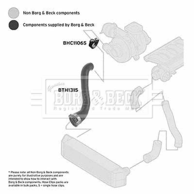 Gaine de suralimentation BORG & BECK BTH1315 - Visuel 2