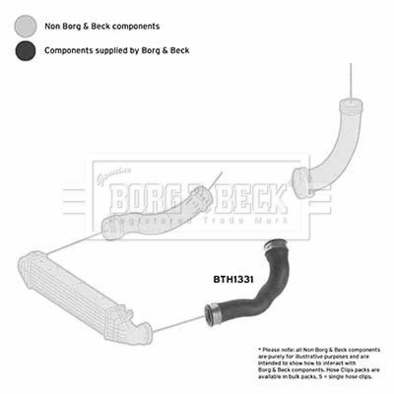 Gaine de suralimentation BORG & BECK BTH1331 - Visuel 2