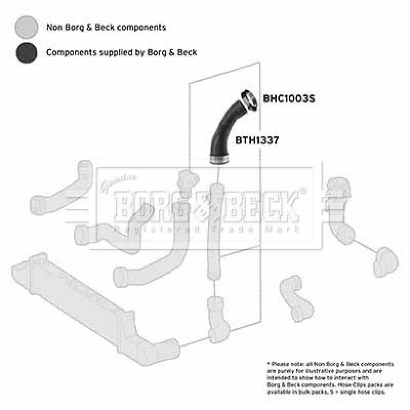 Gaine de suralimentation BORG & BECK BTH1337 - Visuel 2