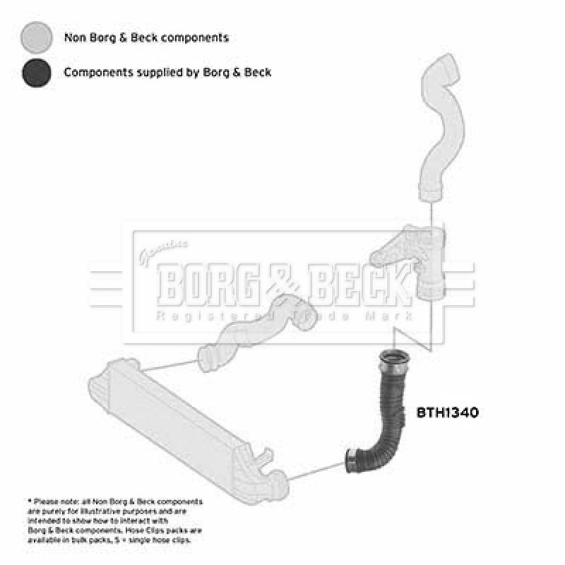 Gaine de suralimentation BORG & BECK BTH1340 - Visuel 2