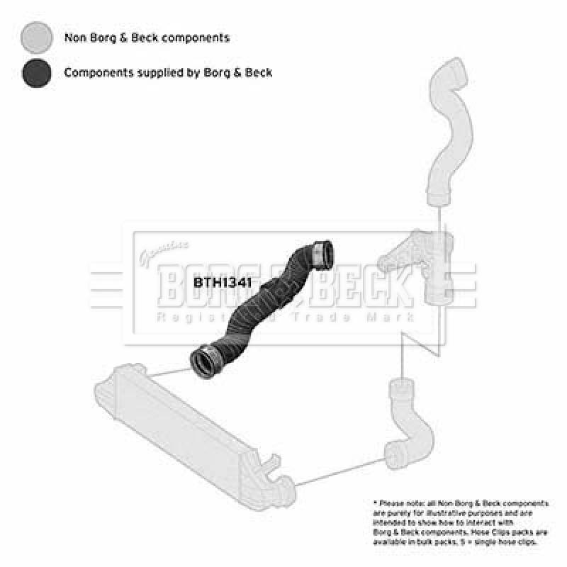 Gaine de suralimentation BORG & BECK BTH1341 - Visuel 2