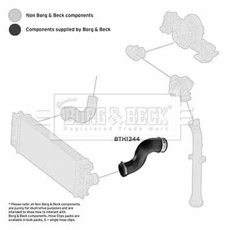 Gaine de suralimentation BORG & BECK BTH1344 - Visuel 2