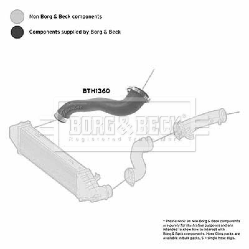 Gaine de suralimentation BORG & BECK BTH1360 - Visuel 2