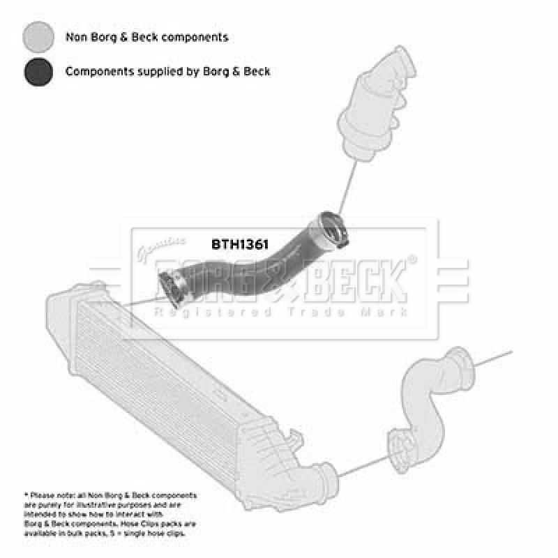 Gaine de suralimentation BORG & BECK BTH1361 - Visuel 2