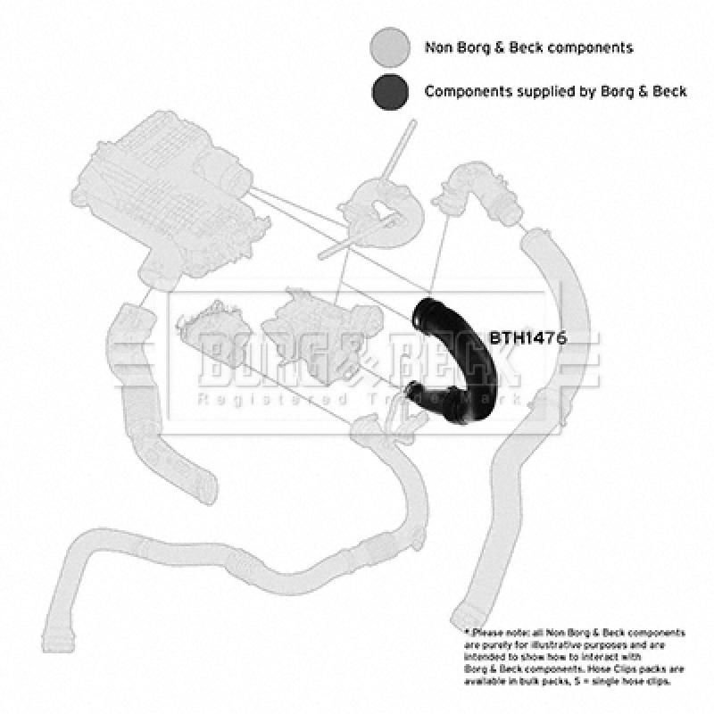 Gaine de suralimentation BORG & BECK BTH1476 - Visuel 2