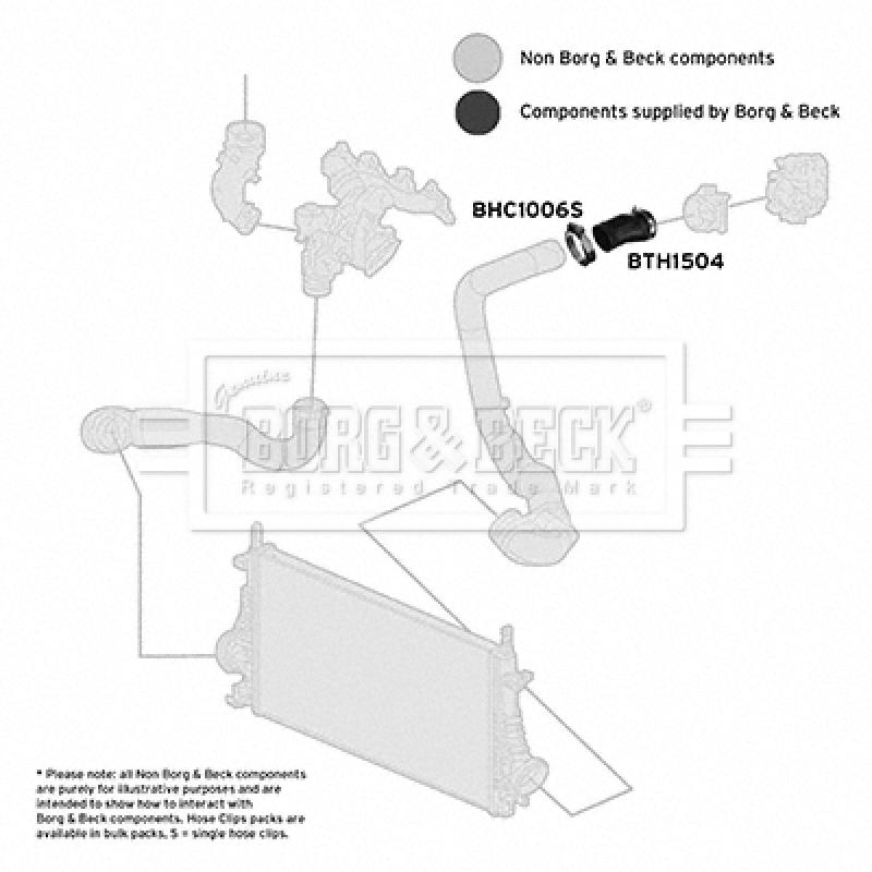 Gaine de suralimentation BORG & BECK BTH1504 - Visuel 2